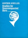 Studies for Unaccompanied Horn