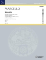 Zwei Sonaten op. 2 fr Alt-Blockflte (Violine, Flte) und Basso continuo, Violoncello/Vi