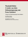 3 Lieder aus dem Schwanengesang von Franz Schubert fr Altflte und Klavier