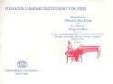 Musikalisches Blumen-Bschlein op.2 fr Orgel (Faksimile)