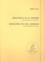 Sonatina g minor for violoncello and piano