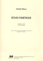 Echo-Fantasie fr Orgel