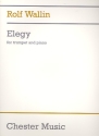 Elegy for trumpet and piano