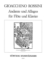 Andante und Allegro fr Flte und Klavier