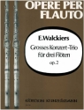 Groes Konzert-Trio op.2 fr 3 Flten Stimmen
