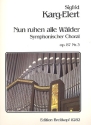 Sinfonischer Choral op.87,3 fr Orgel