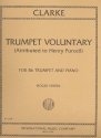 Trumpet Voluntary for trumpet and piano (organ)