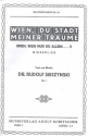 Wien du Stadt meiner Trume op.1: fr Salonorchester Stimmen
