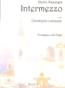 Intermezzo sinfonico Cavalleria rusticana fr Trompete und Orgel