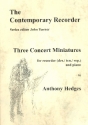 3 Concert Miniatures for recorders (STSo) and piano score and parts