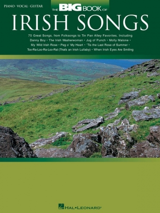 The big Book of Irish Songs: 75 great songs piano/vocal/guitar