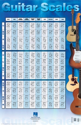 Guitar Scales Poster  Poster