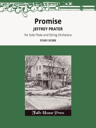 Promise for solo flute and string orchestra study score