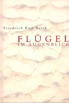 Flgel im Augenblick Lied-Texte