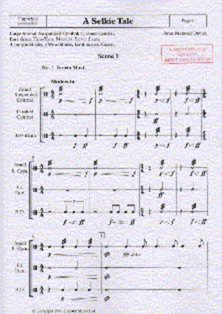 Peter Maxwell Davies, A Selkie Tale - Unpitched Percussion Percussion Stimme