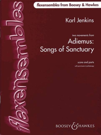 Adiemus - Songs of Sanctuary fr flexibles Ensemble / Schulorchester Partitur und Stimmen