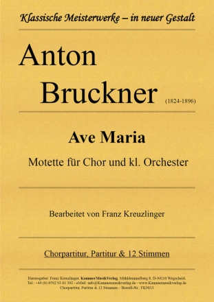Ave Maria - Motette fr Chor und kl. Orchester