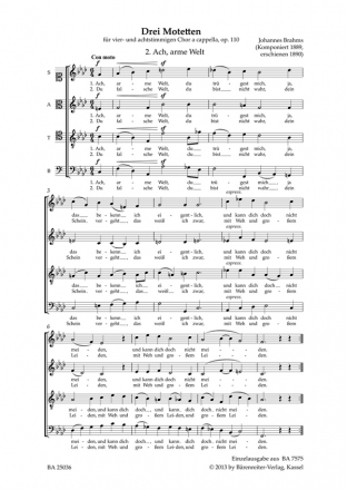 Ach, arme Welt op.110,2 fr gem Chor (SSAATTBB) a cappella Chorpartitur