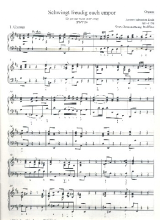 Schwingt freudig euch empor Kantate Nr.36 BWV36 Orgel