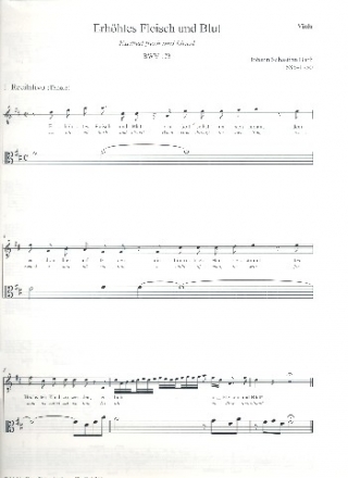 Erhhtes Fleisch und Blut Kantate Nr.173 BWV173 Viola