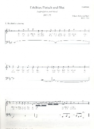 Erhhtes Fleisch und Blut Kantate Nr.173 BWV173 Generalbass/Bc (nicht ausgesetzt/nicht beziffert)