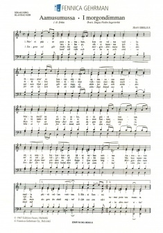 Morgennebel Kinderchor