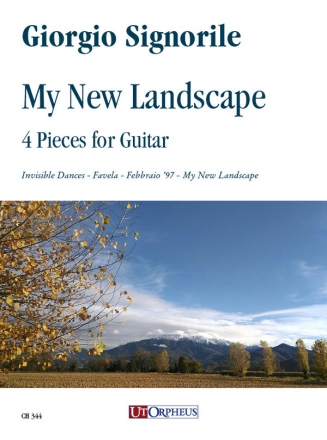 My New Landscape for guitar