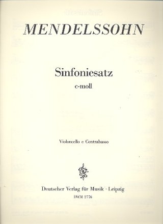 Sinfoniesatz c-Moll fr Orchester Violoncello / Kontrabass