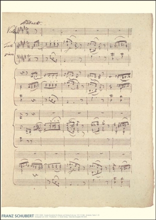 Poster Violinsonate (Sonatine) D-Dur op.137,1 D384 (Faksimile) 60x84 cm