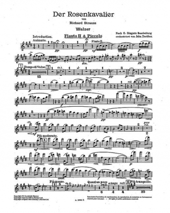 Tanz-Walzer aus Der Rosenkavalier op. 59 fr Orchester Flte 2/Piccolo