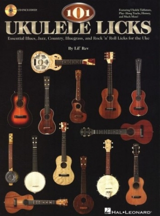 101 Ukulele Licks (+CD): for ukulele/tab