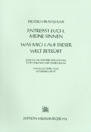 Entreisst euch meine Sinnen fr Sopran, 2 Violinen und Bc Partitur (dt)