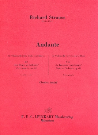 Andante fr Violoncello (Viola) und Klavier