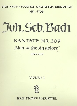 Non sa che sia dolore Kantate Nr.209 BWV209 Violine 1