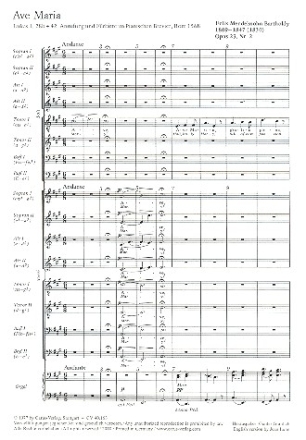 Ave Maria op.23,2  fr Soli (SSAATTBB), Cchor (SSAATTBB) und Orgel Partitur (la/en)