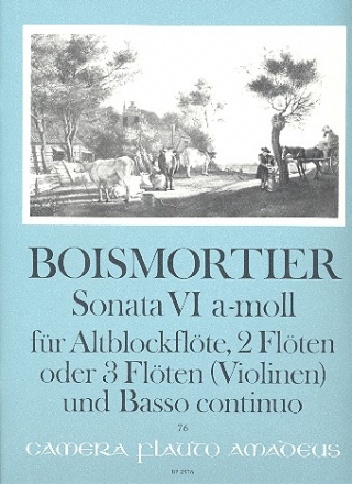 Sonate a-Moll Nr.6 op.34,6 fr Altblockflte, 2 Flten oder 3 Flten (Violinen) und Bc Stimmen