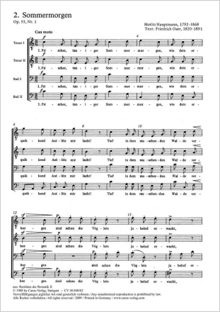Raritten der Romantik Weltliche Mnnerchre a cappella Chorpartitur