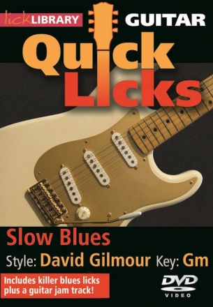 Slow Blues Style David Gilmour Key Gm DVD-Video Lick Library Quick Licks