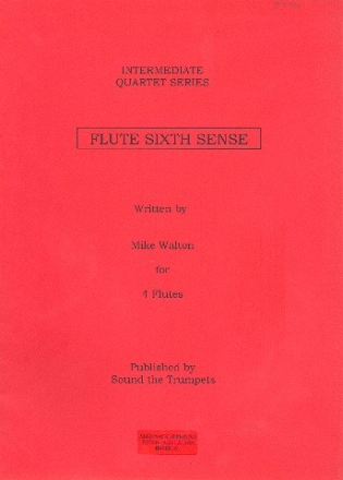 Flute Sixth Sense for 4 flutes