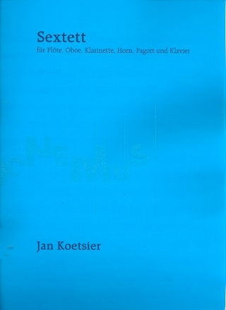 Sextett op.110 fr Flte, Oboe, Klarinette, Horn, Fagott und Klavier Partitur und Stimmen Format A4!!