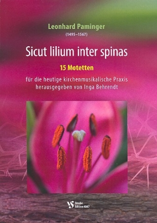 Sicut lilium inter spinas fr gem Chor a cappella Partitur