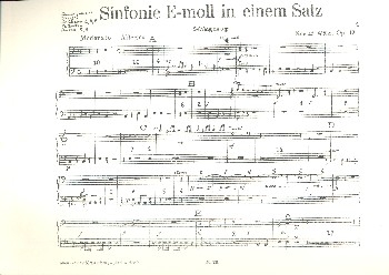 Sinfonie e-Moll in einem Satz op.12 fr Zupforchester (weitere Instrumente ad lib) Schlagzeug