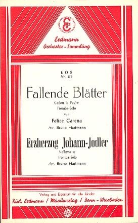 Erzherzog Johann Jodler  und Fallende Bltter: fr Salonorchester