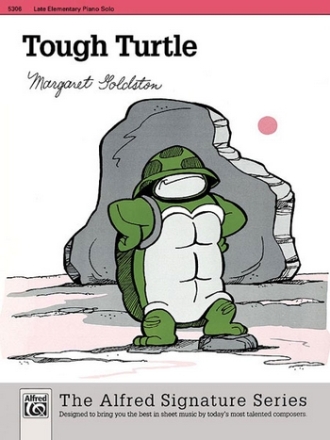 TOUGH TURTLE/PNO SOL-2  Default setting