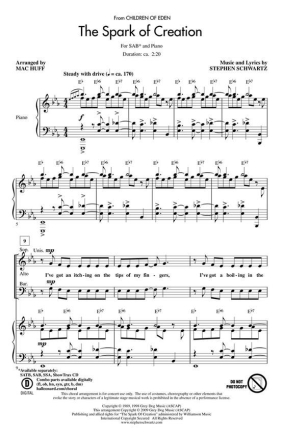 Stephen Schwartz, The Spark of Creation SAB Chorpartitur