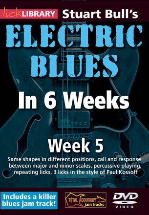 Stuart Bull's Electric Blues in 6 Weeks Gitarre DVD