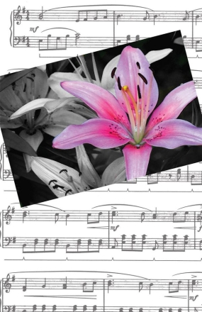 Recital Program #80 - Red & Blue Clefs Klavier Buch