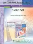 Sandy Feldstein_Larry Clark, Sentinel Concert Band Partitur + Stimmen