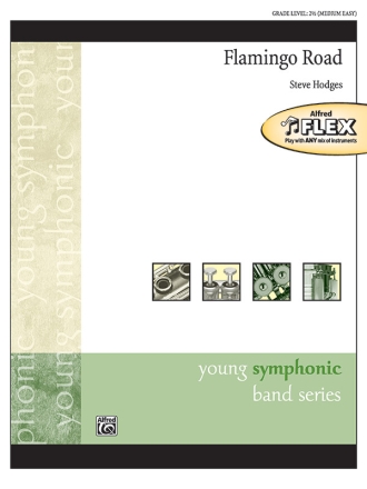 Flamingo Road, Flamingo Road Flexible Band Set