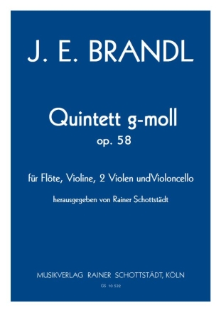 Quintetto Nr.1 g-moll op. 58, hrsg. R.Schottstdt Fl,Vl,2Vla,Vcl